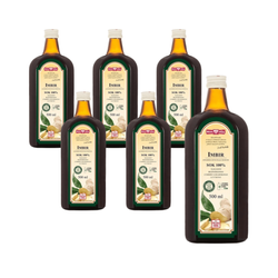 Ingwersaft 100% 500 ml