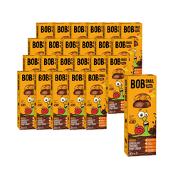 SET 24 x Mango-Snack in Milchschokolade 30 g