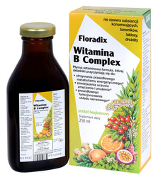 Vitamin B-Komplex flüssig glutenfrei Nahrungsergänzungsmittel 250 ml - Salus (Floradix)