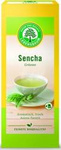 Bio Sencha Grüntee Express (20 x 1,5 g) 30 g – Lebensbaum