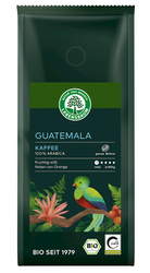 Arabica 100% Guatemala Bohnenkaffee bio 250 g - LEBENSBAUM